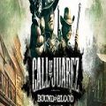 Call of Juarez Bound in Blood Poster