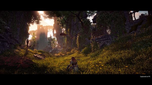 Horizon Zero Dawn Complete Edition Screenshot 2