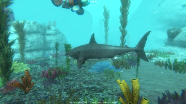 Alpha Shark Screenshot 1 , PC Download Game