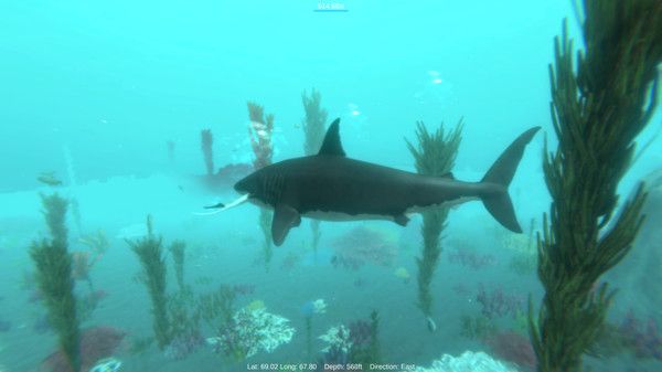 Alpha Shark Screenshot 3 , Free Full Setup