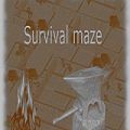 Survival Maze Poster PC Game