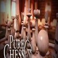 Pure Chess Grandmaster Edition Poster PC Game
