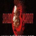 Shadow Warrior 3 Cover , Download For PC