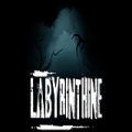 Labyrinthine Poster , For PC