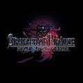 Stranger of Paradise Final Fantasy Origin Poster, PC Game , Full Version
