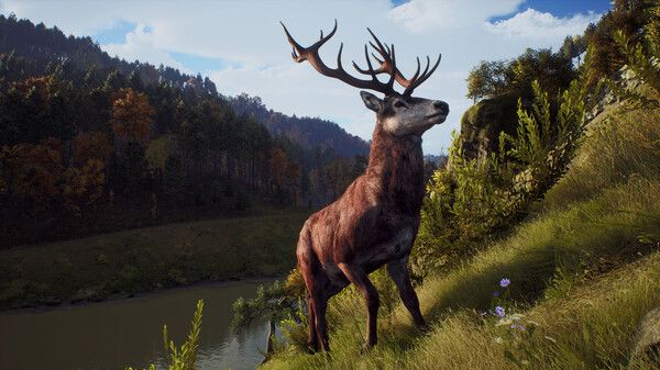 Way of the Hunter Screenshot 2, Setup For PC , For PC