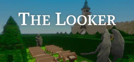 The Looker Cover, PC Game